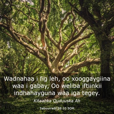 Picture 03 - Sabuurradii 38:10 SOM - Wadnahaa i fig leh, oo xooggaygiina waa i gabay, - Bible Verse Picture