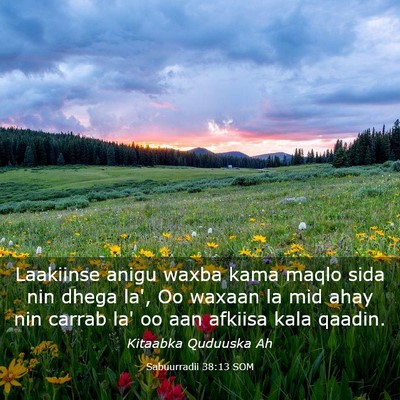 Picture 03 - Sabuurradii 38:13 SOM - Laakiinse anigu waxba kama maqlo sida nin dhega - Bible Verse Picture