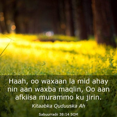 Picture 03 - Sabuurradii 38:14 SOM - Haah, oo waxaan la mid ahay nin aan waxba maqlin, - Bible Verse Picture