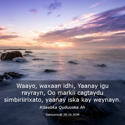 Picture 03 - Sabuurradii 38:16 SOM - Waayo, waxaan idhi, Yaanay igu rayrayn, Oo markii - Bible Verse Picture