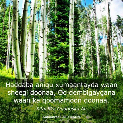 Picture 03 - Sabuurradii 38:18 SOM - Haddaba anigu xumaantayda waan sheegi doonaa, Oo - Bible Verse Picture