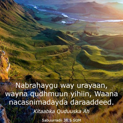 Picture 03 - Sabuurradii 38:5 SOM - Nabrahaygu way urayaan, wayna qudhmuun yihiin, - Bible Verse Picture