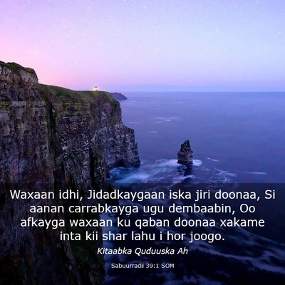 Picture 03 - Sabuurradii 39:1 SOM - Waxaan idhi, Jidadkaygaan iska jiri doonaa, Si - Bible Verse Picture