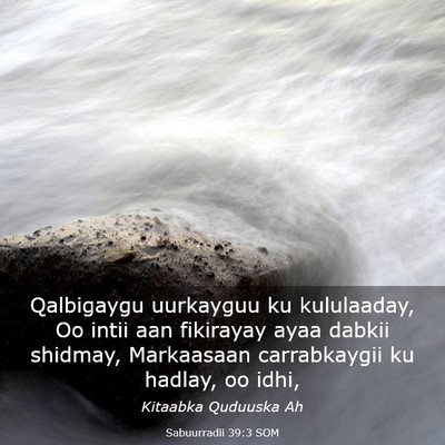 Picture 03 - Sabuurradii 39:3 SOM - Qalbigaygu uurkayguu ku kululaaday, Oo intii aan - Bible Verse Picture