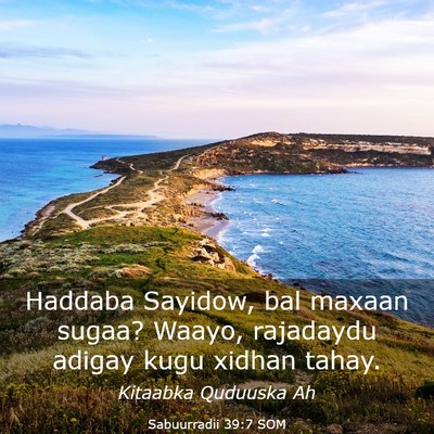 Picture 03 - Sabuurradii 39:7 SOM - Haddaba Sayidow, bal maxaan sugaa? Waayo, - Bible Verse Picture