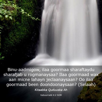 Picture 03 - Sabuurradii 4:2 SOM - Binu-aadmigow, ilaa goormaa sharaftaydu sharafjab - Bible Verse Picture