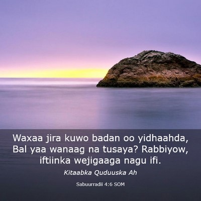 Picture 03 - Sabuurradii 4:6 SOM - Waxaa jira kuwo badan oo yidhaahda, Bal yaa - Bible Verse Picture