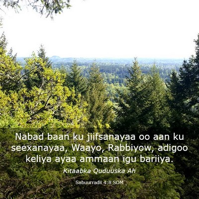 Picture 03 - Sabuurradii 4:8 SOM - Nabad baan ku jiifsanayaa oo aan ku seexanayaa, - Bible Verse Picture