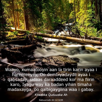 Picture 03 - Sabuurradii 40:12 SOM - Waayo, xumaatooyin aan la tirin karin ayaa i - Bible Verse Picture