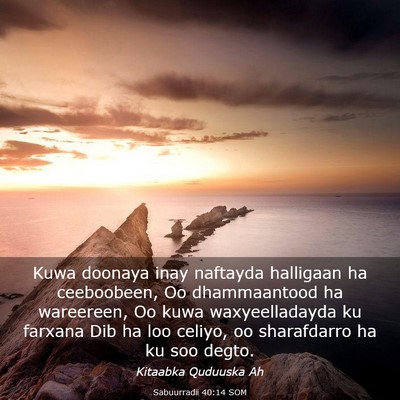 Picture 03 - Sabuurradii 40:14 SOM - Kuwa doonaya inay naftayda halligaan ha - Bible Verse Picture