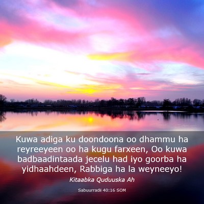 Picture 03 - Sabuurradii 40:16 SOM - Kuwa adiga ku doondoona oo dhammu ha reyreeyeen - Bible Verse Picture