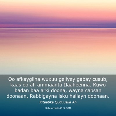 Picture 03 - Sabuurradii 40:3 SOM - Oo afkaygiina wuxuu geliyey gabay cusub, kaas oo - Bible Verse Picture