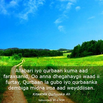 Picture 03 - Sabuurradii 40:6 SOM - Allabari iyo qurbaan kuma aad faraxsanid, Oo anna - Bible Verse Picture