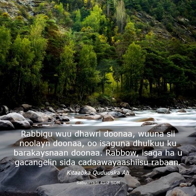 Picture 03 - Sabuurradii 41:2 SOM - Rabbigu wuu dhawri doonaa, wuuna sii noolayn - Bible Verse Picture