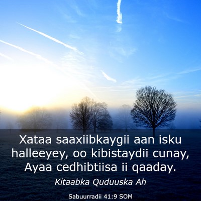 Picture 03 - Sabuurradii 41:9 SOM - Xataa saaxiibkaygii aan isku halleeyey, oo - Bible Verse Picture