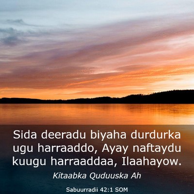 Picture 03 - Sabuurradii 42:1 SOM - Sida deeradu biyaha durdurka ugu harraaddo, Ayay - Bible Verse Picture