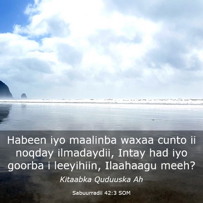 Picture 03 - Sabuurradii 42:3 SOM - Habeen iyo maalinba waxaa cunto ii noqday - Bible Verse Picture