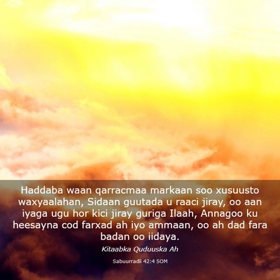 Picture 03 - Sabuurradii 42:4 SOM - Haddaba waan qarracmaa markaan soo xusuusto - Bible Verse Picture