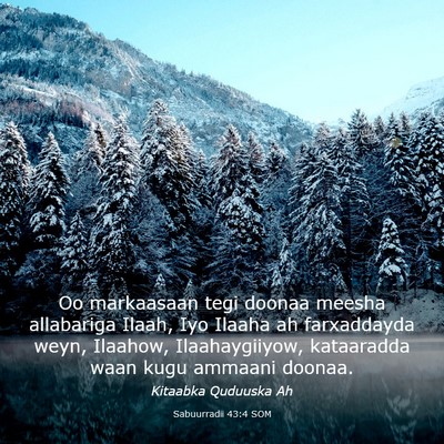 Picture 03 - Sabuurradii 43:4 SOM - Oo markaasaan tegi doonaa meesha allabariga - Bible Verse Picture