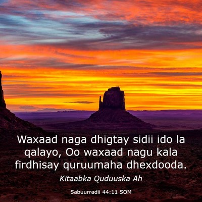 Picture 03 - Sabuurradii 44:11 SOM - Waxaad naga dhigtay sidii ido la qalayo, Oo - Bible Verse Picture