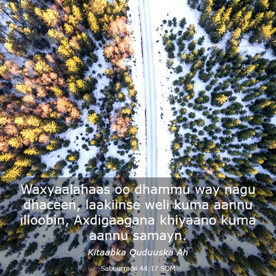 Picture 03 - Sabuurradii 44:17 SOM - Waxyaalahaas oo dhammu way nagu dhaceen, - Bible Verse Picture