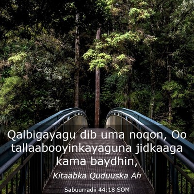 Picture 03 - Sabuurradii 44:18 SOM - Qalbigayagu dib uma noqon, Oo - Bible Verse Picture