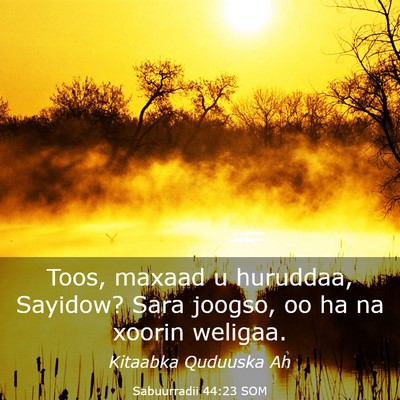 Picture 03 - Sabuurradii 44:23 SOM - Toos, maxaad u huruddaa, Sayidow? Sara joogso, oo - Bible Verse Picture