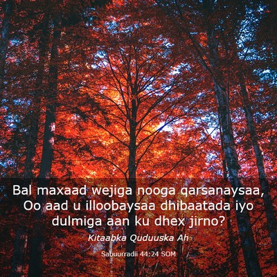 Picture 03 - Sabuurradii 44:24 SOM - Bal maxaad wejiga nooga qarsanaysaa, Oo aad u - Bible Verse Picture