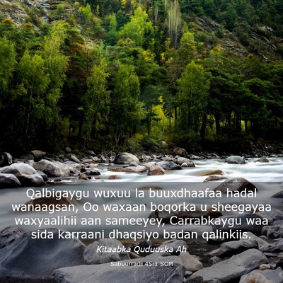 Picture 03 - Sabuurradii 45:1 SOM - Qalbigaygu wuxuu la buuxdhaafaa hadal wanaagsan, - Bible Verse Picture