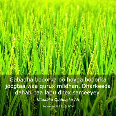 Picture 03 - Sabuurradii 45:13 SOM - Gabadha boqorka oo hoyga boqorka joogtaa waa - Bible Verse Picture