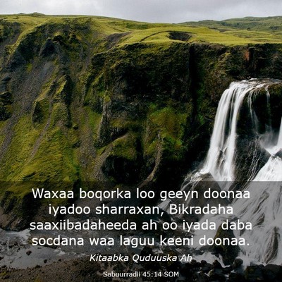 Picture 03 - Sabuurradii 45:14 SOM - Waxaa boqorka loo geeyn doonaa iyadoo sharraxan, - Bible Verse Picture