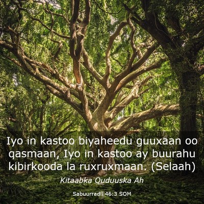 Picture 03 - Sabuurradii 46:3 SOM - Iyo in kastoo biyaheedu guuxaan oo qasmaan, Iyo - Bible Verse Picture