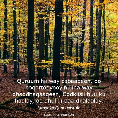 Picture 03 - Sabuurradii 46:6 SOM - Quruumihii way cabaadeen, oo boqortooyooyinkiina - Bible Verse Picture