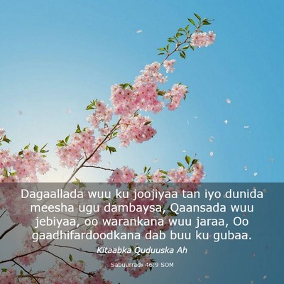 Picture 03 - Sabuurradii 46:9 SOM - Dagaallada wuu ku joojiyaa tan iyo dunida meesha - Bible Verse Picture