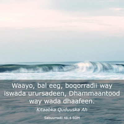 Picture 03 - Sabuurradii 48:4 SOM - Waayo, bal eeg, boqorradii way iswada urursadeen, - Bible Verse Picture