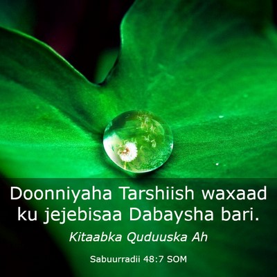 Picture 03 - Sabuurradii 48:7 SOM - Doonniyaha Tarshiish waxaad ku jejebisaa Dabaysha - Bible Verse Picture