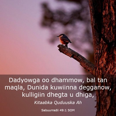 Picture 03 - Sabuurradii 49:1 SOM - Dadyowga oo dhammow, bal tan maqla, Dunida - Bible Verse Picture