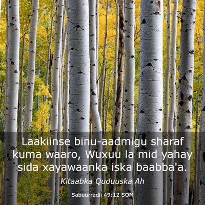 Picture 03 - Sabuurradii 49:12 SOM - Laakiinse binu-aadmigu sharaf kuma waaro, Wuxuu - Bible Verse Picture