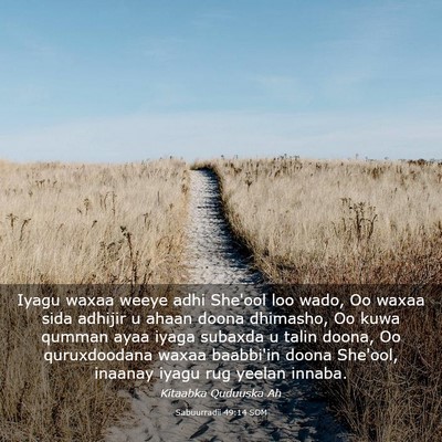 Picture 03 - Sabuurradii 49:14 SOM - Iyagu waxaa weeye adhi She'ool loo wado, Oo waxaa - Bible Verse Picture