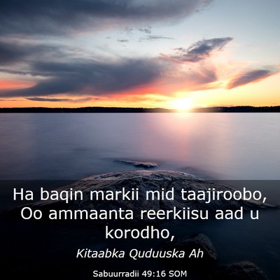 Picture 03 - Sabuurradii 49:16 SOM - Ha baqin markii mid taajiroobo, Oo ammaanta - Bible Verse Picture