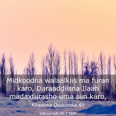 Picture 03 - Sabuurradii 49:7 SOM - Midkoodna walaalkiis ma furan karo, Daraaddiisna - Bible Verse Picture