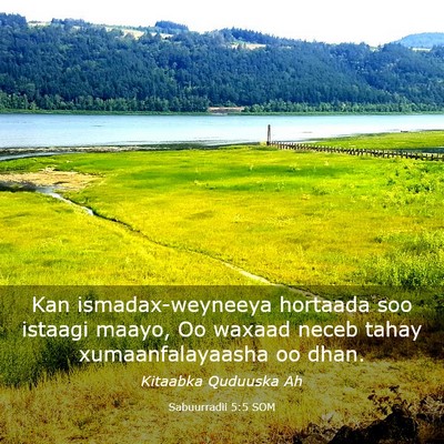 Picture 03 - Sabuurradii 5:5 SOM - Kan ismadax-weyneeya hortaada soo istaagi maayo, - Bible Verse Picture
