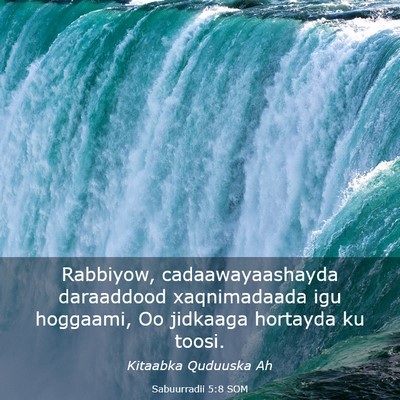 Picture 03 - Sabuurradii 5:8 SOM - Rabbiyow, cadaawayaashayda daraaddood - Bible Verse Picture