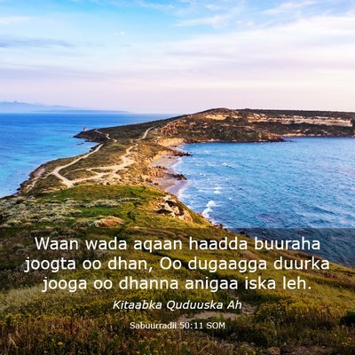 Picture 03 - Sabuurradii 50:11 SOM - Waan wada aqaan haadda buuraha joogta oo dhan, Oo - Bible Verse Picture