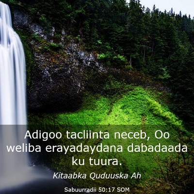 Picture 03 - Sabuurradii 50:17 SOM - Adigoo tacliinta neceb, Oo weliba erayadaydana - Bible Verse Picture
