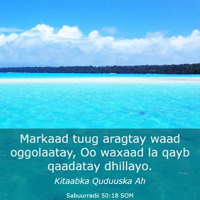 Picture 03 - Sabuurradii 50:18 SOM - Markaad tuug aragtay waad oggolaatay, Oo waxaad - Bible Verse Picture