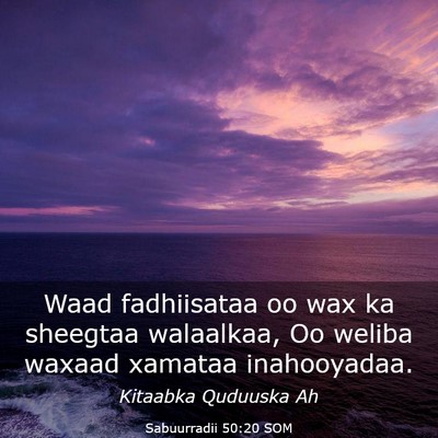 Picture 03 - Sabuurradii 50:20 SOM - Waad fadhiisataa oo wax ka sheegtaa walaalkaa, Oo - Bible Verse Picture