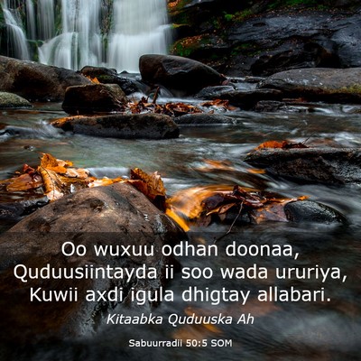 Picture 03 - Sabuurradii 50:5 SOM - Oo wuxuu odhan doonaa, Quduusiintayda ii soo wada - Bible Verse Picture