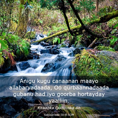 Picture 03 - Sabuurradii 50:8 SOM - Anigu kugu canaanan maayo allabaryadaada, Oo - Bible Verse Picture