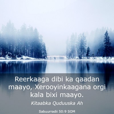 Picture 03 - Sabuurradii 50:9 SOM - Reerkaaga dibi ka qaadan maayo, Xerooyinkaagana - Bible Verse Picture